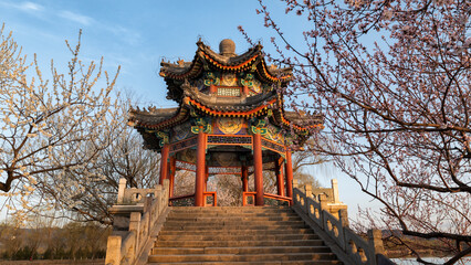 Fototapeta premium The pavilion in the Summer Palace with flourishing flowers