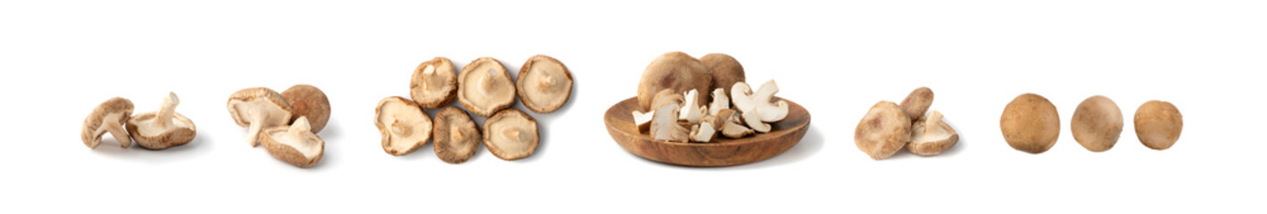 Fresh Shiitake Mushrooms Set