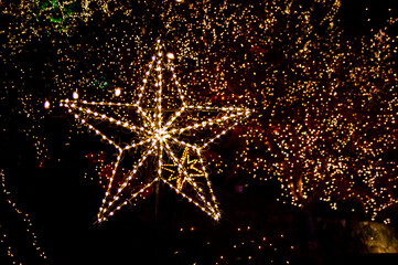 光り輝くスターイルミネーション　The sparkling  star-shaped illumination
