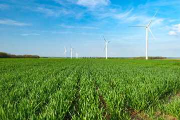 Parc &eacute;olien de Preuseuville en pays de Bray. Champ de bl&eacute; en premier plan