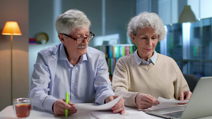 Portrait of elderly couple doing domestic finances at home together