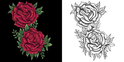 rose flowers vector illustration isolated on dark background - obrazy, fototapety, plakaty