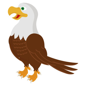 Eagle vector in cartoon style. Illustration on a white background.
