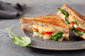 grilled cheese spinach and tomato sandwich on concrete background