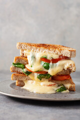 grilled cheese spinach and tomato sandwich on concrete background