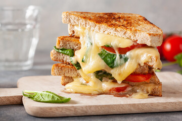 grilled cheese spinach and tomato sandwich on concrete background