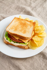 Homemade Fried Bologna and Cheese Sandwich with Chips on a Plate, side view.