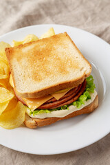 Homemade Fried Bologna and Cheese Sandwich with Chips on a Plate, side view.