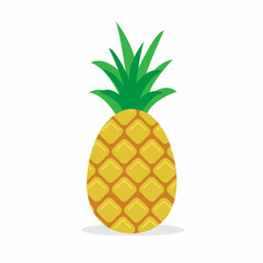 Vector pineapple in a flat style, single tropical fruit isolated on white background