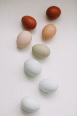 Happy Easter concept. Fresh chicken eggs of natural shades and colors on a white background