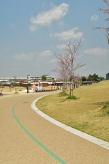 Fototapeta premium 公園を走る