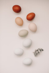 Happy Easter concept. Fresh chicken eggs of natural shades and colors on a white background