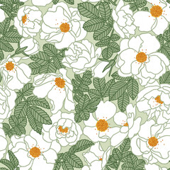 White wild rose, pattern illustration