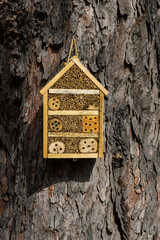 miejski domek dla pszczół zawieszony na drzewie jako dbanie miasta o ekologie © Clear Emotion