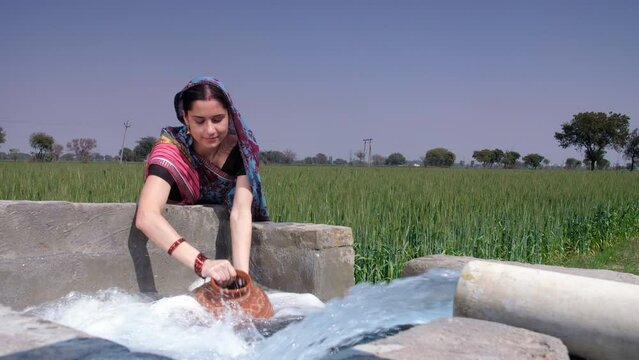 A married Indian housewife in traditional Sari filling up fresh water for daily use - cooking  an Indian villager. A female worker/laborer filling up an earthen pot from a tubewell near a rice fiel...