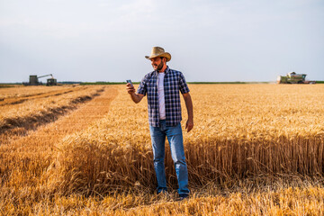 Agronomist is examining process of harvesting wheat.