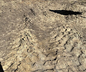 Textured ground and sand. A rut left by heavy machinery caterpillar