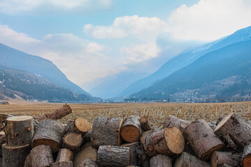 stack of firewood with mountains as a background
