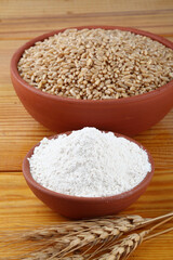 Wheat flour Bunch of wheat ears, dried grains in terracotta bowl, flour in terracotta bowl on white background. Cereals harvesting, bakery products, on wooden background