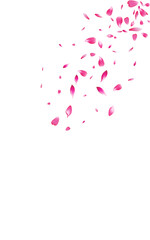 Beautiful Rose Flying Vector White Background.