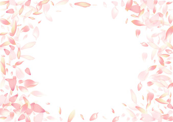Obraz na płótnie Canvas Transparent Flower Petal Vector White Background.