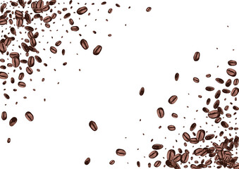 Black Seed Organic Vector White Background. Drawn