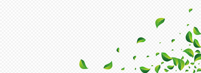Green Leaves Motion Vector Panoramic Transparent