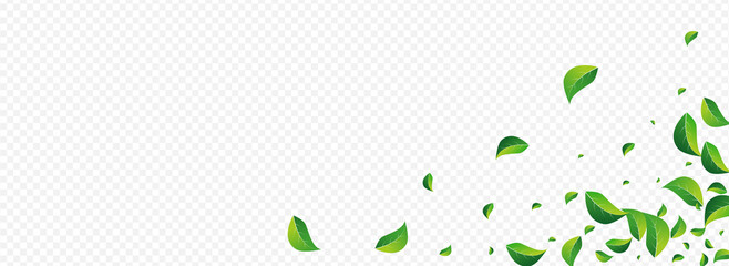 Green Leaves Motion Vector Panoramic Transparent