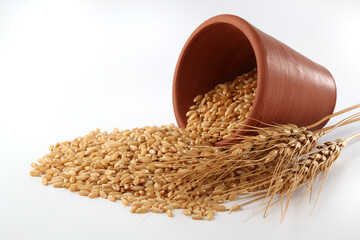 Wheat flour Bunch of wheat ears, dried grains in terracotta bowl, flour in terracotta bowl on white background. Cereals harvesting, bakery products