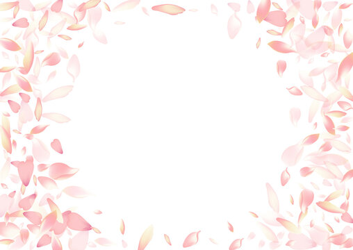 Transparent Flower Petal Vector White Background.