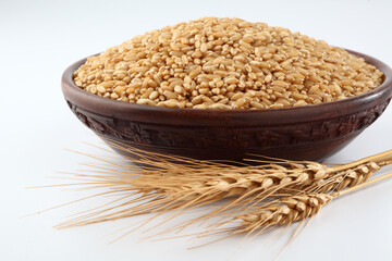 Wheat Bunch of wheat ears, dried grains in wooden bowl on white background. Cereals harvesting, bakery products