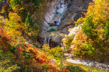 白山白川郷ホワイトロード　姥ヶ滝の紅葉