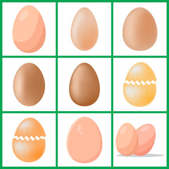 chicken eggs set. Vector illustration isolated on white background