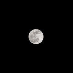 Moon Timelapse, Stock time lapse : Full moon rise in dark nature sky, night time. Full moon disk time lapse with moon light up in night dark black sky. High-quality free video footage or timelapse