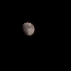 Moon Timelapse, Stock time lapse : Full moon rise in dark nature sky, night time. Full moon disk...