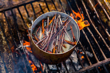 Survival in wild nature. Campfire background. Pan with cherry tea sticks over fire. Cooking tea...