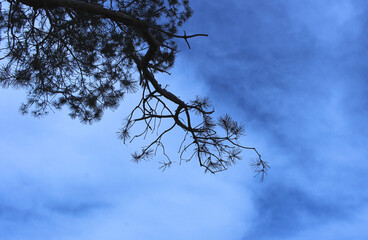 beautiful landscape there is a place for an inscription