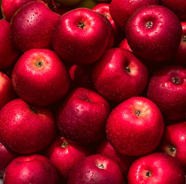 red apples displayed for sale
