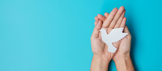 International Day of Peace. Hands holding white paper Dove bird on blue background. Freedom, Hope and World Peace day 21 September concepts.
