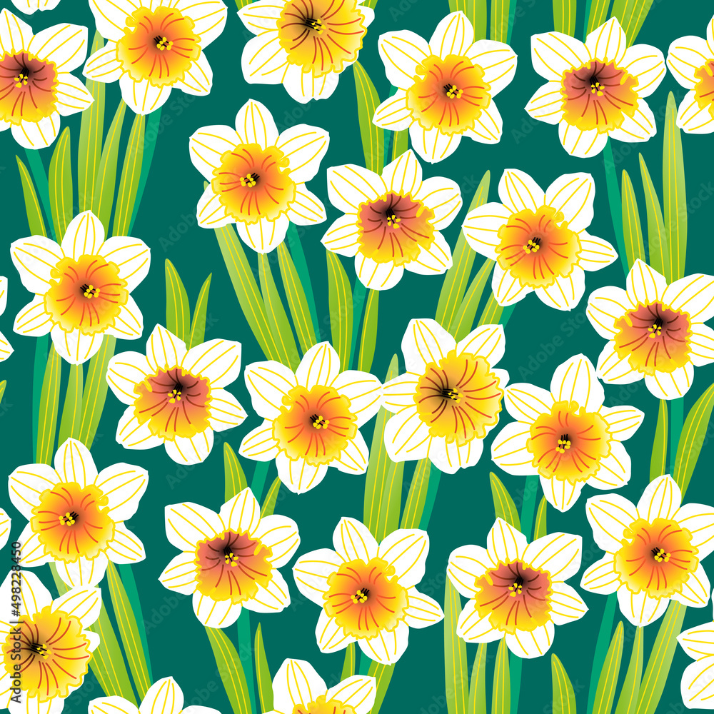 Wall mural Vector seamless pattern with stylized daffodils on a dark green background