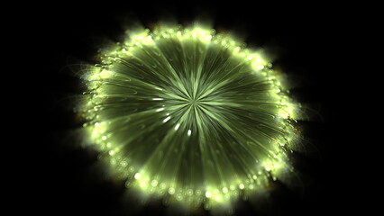 Beautiful digital color flower, Fantasy design glowing 3d Abstract flower petals on a black background. 3d rendering