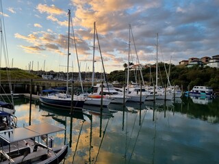 boats in the marina