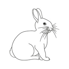 Rabbit outline icon. Easter bunny symbol. Cute hare silhouette. Vector illustration.