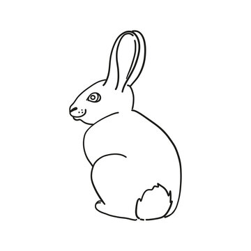 Rabbit outline icon. Easter bunny symbol. Cute hare silhouette. Vector illustration.