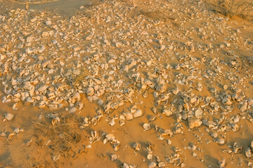 A Shell Midden in Ras al Khaimah