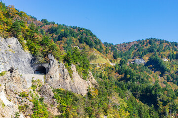 白山白川郷ホワイトロード　紅葉