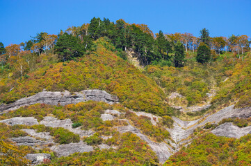 白山白川郷ホワイトロード　紅葉
