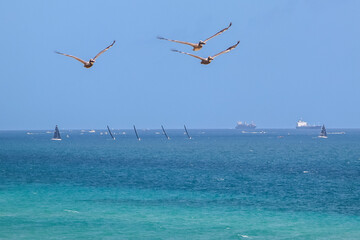 Hollywood Beach, Florida, USA