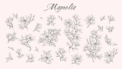 Magnolia flower logo and branch set. Hand drawn line wedding herb, elegant leaves for invitation save the date card. Botanical rustic - obrazy, fototapety, plakaty