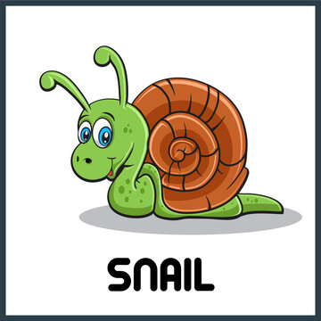 cute Snail cartoon